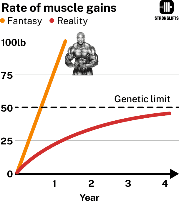 Rate of muscle gains: reality vs fantasy.