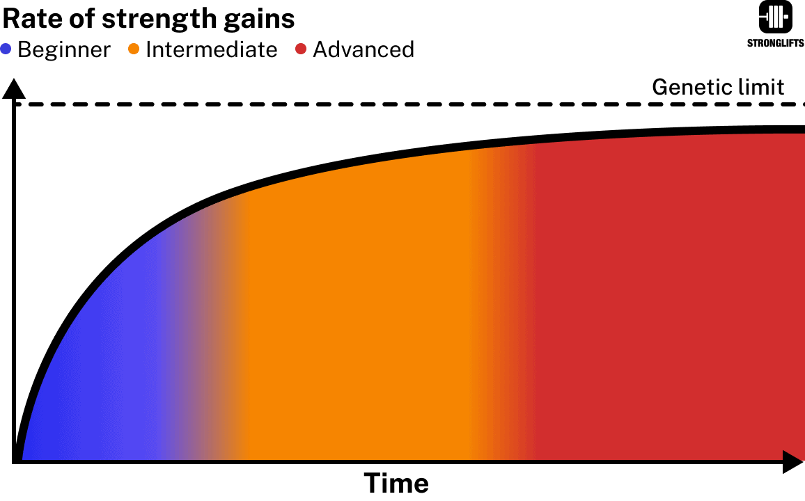 Rate of strength gains beginner vs experienced
